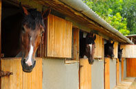 free Lower Knapp stable construction quotes